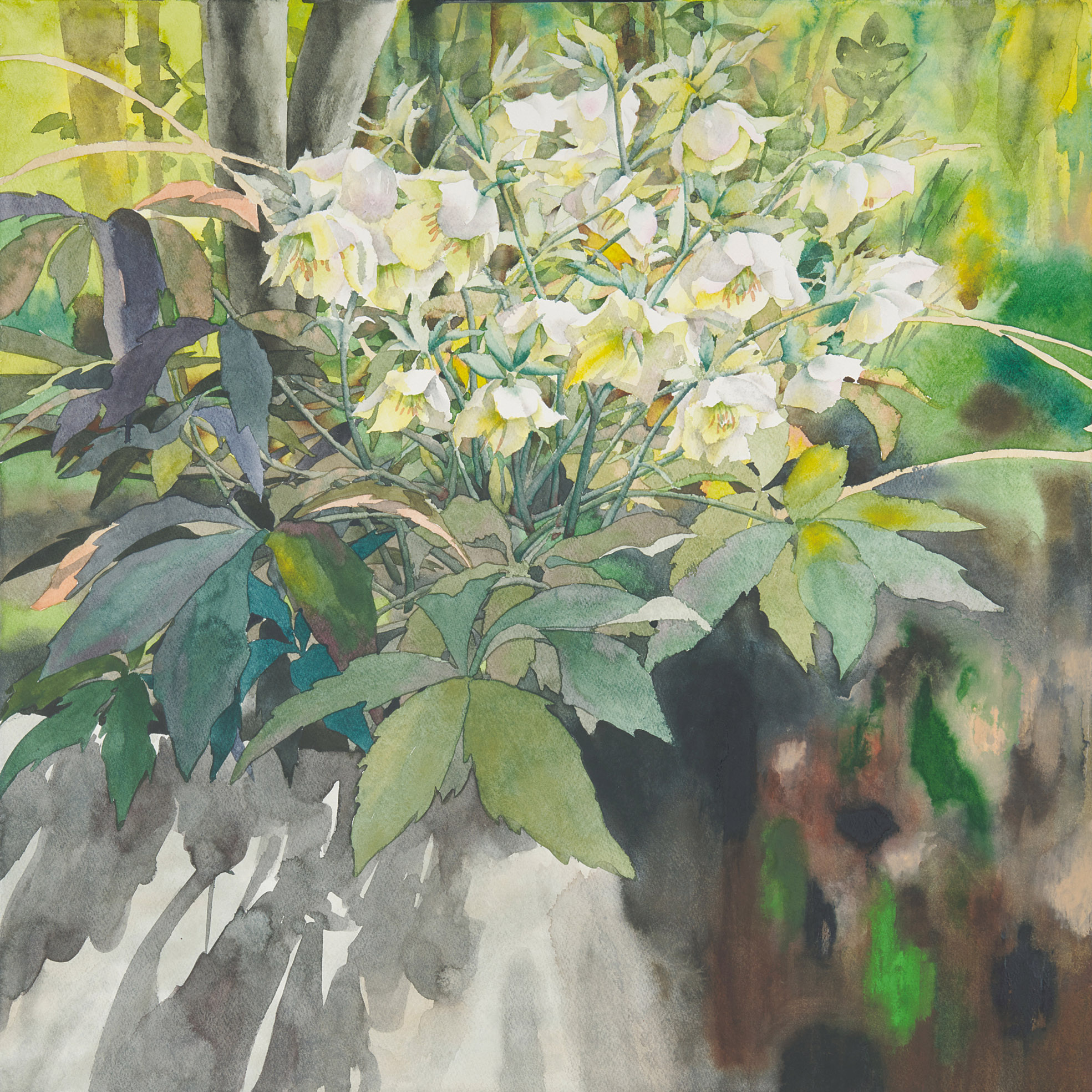 NIKA+nika/S20号／安井陽子　